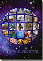DVD Toi seul existes